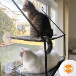 K&H Pet Products EZ Mount Double Stack Kitty Sill Cat Window Perch -Cat Supplies 100553 PT6. AC SS1800 V1630737706