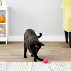 Pet Qwerks Babble Ball Kitten Toy With Catnip -Cat Supplies 102237 PT3. AC SS1800 V1589901130