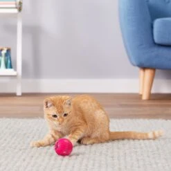 Pet Qwerks Babble Ball Kitten Toy With Catnip -Cat Supplies 102237 PT4. AC SS1800 V1589901135