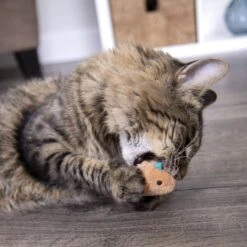 SmartyKat Chickadee Chirp Electronic Bird-Sound Cat Toy 15 SmartyKat Chickadee Chirp Electronic Bird-Sound Cat Toy -Cat Supplies 102753 PT8. AC SS1800 V1700689276