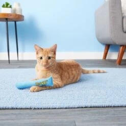 Yeowww! Catnip Cigar It's A Boy Cat Toy -Cat Supplies 102783 PT5. AC SS1800 V1527256968