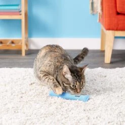 Yeowww! Catnip Cigar It's A Boy Cat Toy -Cat Supplies 102783 PT6. AC SS1800 V1527256981