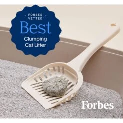 Boxiecat Premium Unscented Clumping Clay Cat Litter -Cat Supplies 103571 PT4. AC SS1800 V1643670727