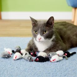Penn-Plax Purr Pet Bag Of Mice Cat Toy, Color Varies 12 Penn-Plax Purr Pet Bag Of Mice Cat Toy, Color Varies -Cat Supplies 103731 PT2. AC SS1800 V1595370657