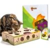 Cat Amazing Interactive Treat Maze & Puzzle Cat Toy -Cat Supplies 105304 MAIN. AC SS1800 V1591991787