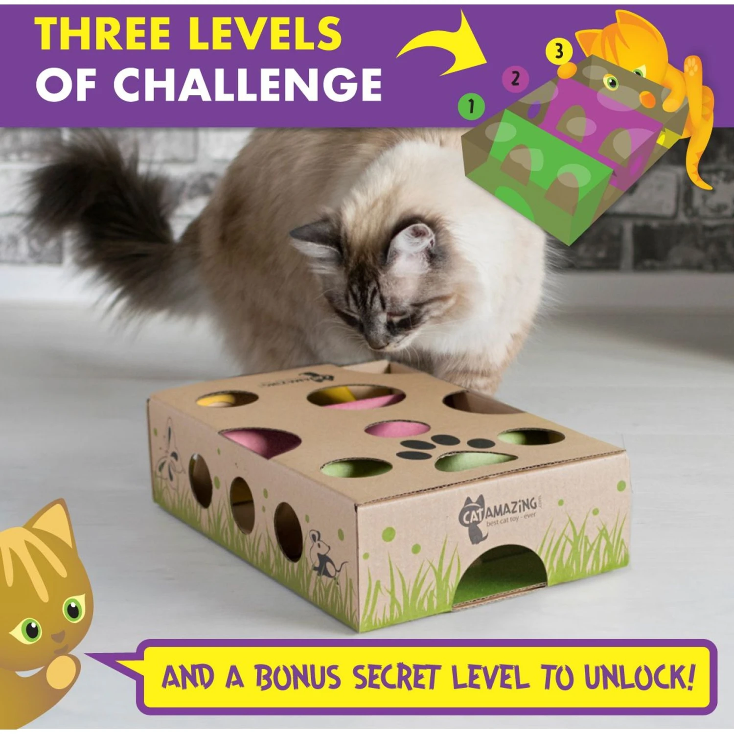 Cat Amazing Interactive Treat Maze & Puzzle Cat Toy 4 Cat Amazing Interactive Treat Maze & Puzzle Cat Toy - Image 2