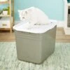 Petmate Top Entry Litter Pan -Cat Supplies 105471 MAIN. AC SS1800 V1565284745