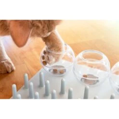 TRIXIE Activity Fun Board 5-in-1 Activity Strategy Game Cat Toy -Cat Supplies 107255 PT4. AC SS1800 V1686331326