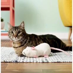 SmartyKat Rat Pack Kicker Cat Toy, Color Varies -Cat Supplies 107601 PT5. AC SS1800 V1527257498