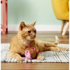 SmartyKat Chit Chatter Touch-Activated Cat Toy 11 SmartyKat Chit Chatter Touch-Activated Cat Toy -Cat Supplies 107605 PT5. AC SS1800 V1527258457