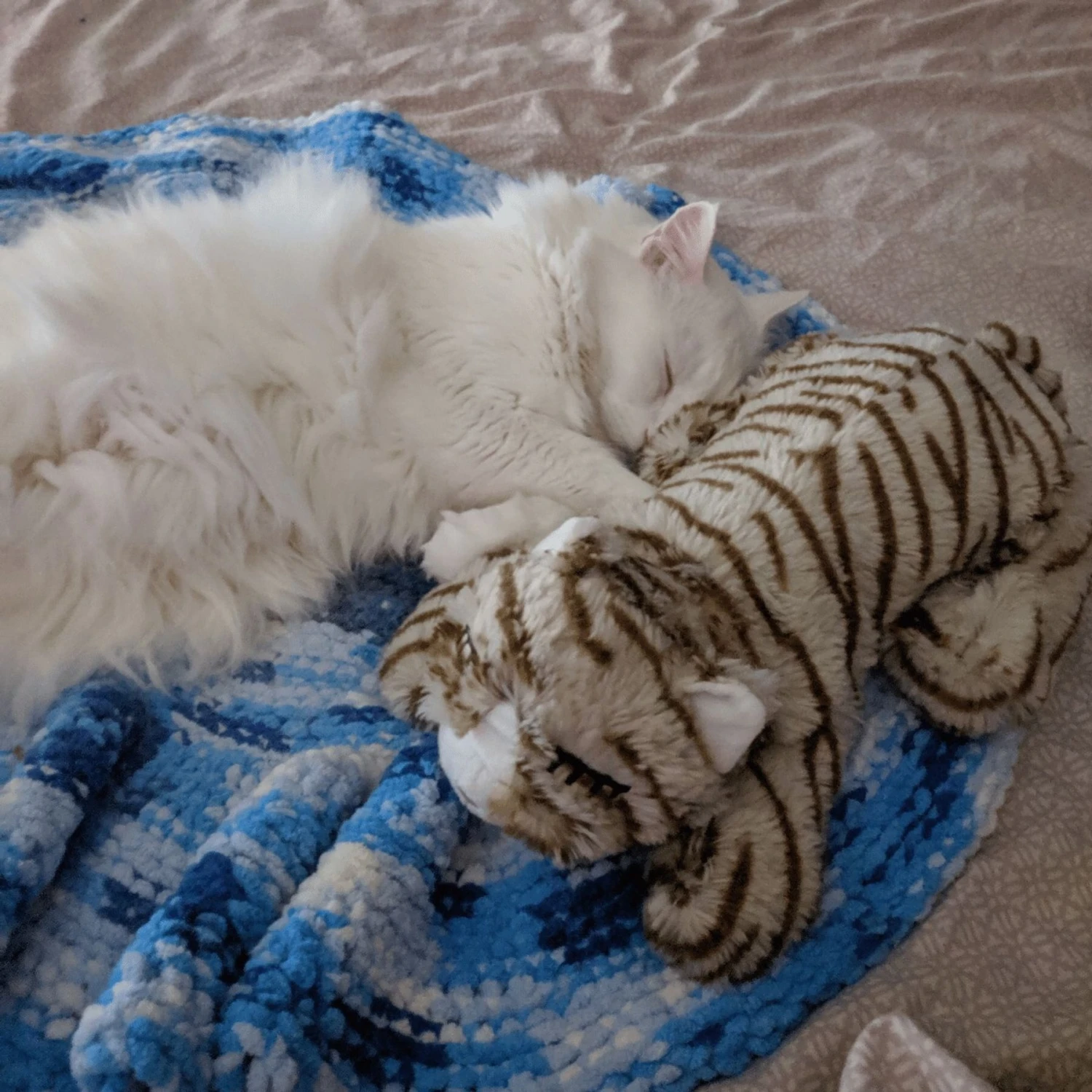 Snuggle Puppy Original Snuggle Kitty Plush Cat Behavioral Aid Anxiety Relief 8 Snuggle Puppy Original Snuggle Kitty Plush Cat Behavioral Aid Anxiety Relief - Image 6