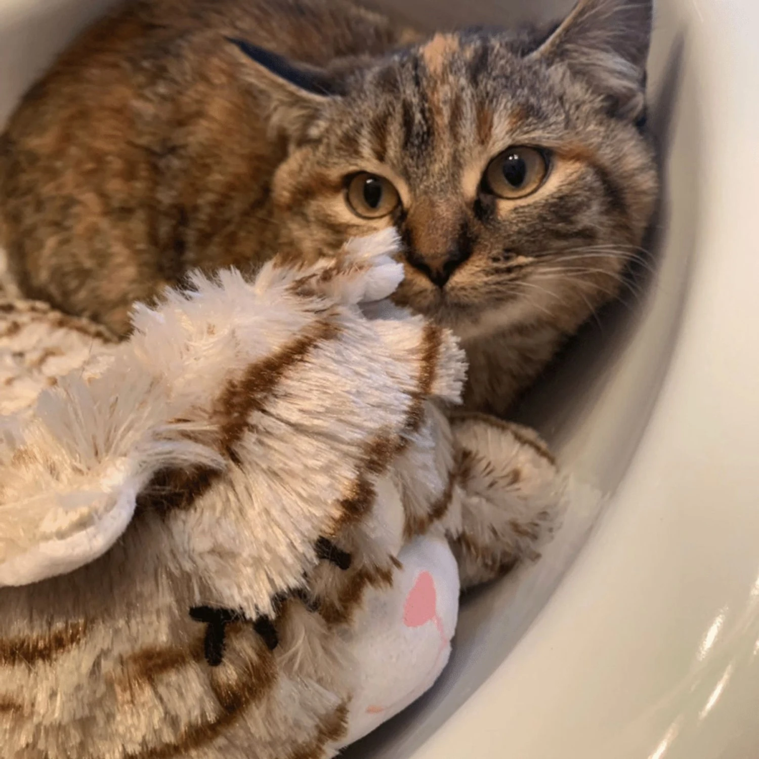 Snuggle Puppy Original Snuggle Kitty Plush Cat Behavioral Aid Anxiety Relief 9 Snuggle Puppy Original Snuggle Kitty Plush Cat Behavioral Aid Anxiety Relief - Image 7