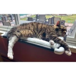 Kitty Cot Original World's Best Cat Perch Giant Replacement Suction Cups -Cat Supplies 108561 PT6. AC SS1800 V1627925190