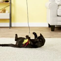 Pet Fit For Life 6 Piece Replacement Feather Pack For Wand Cat Toy -Cat Supplies 109318 PT4. AC SS1800 V1589320638