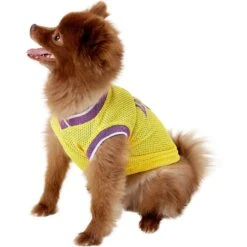 Pets First NBA Dog & Cat Mesh Jersey -Cat Supplies 111989 PT3. AC SS1800 V1539982969
