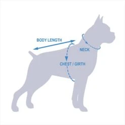 Pets First NBA Dog & Cat Mesh Jersey -Cat Supplies 111989 PT8. AC SS1800 V1541180284