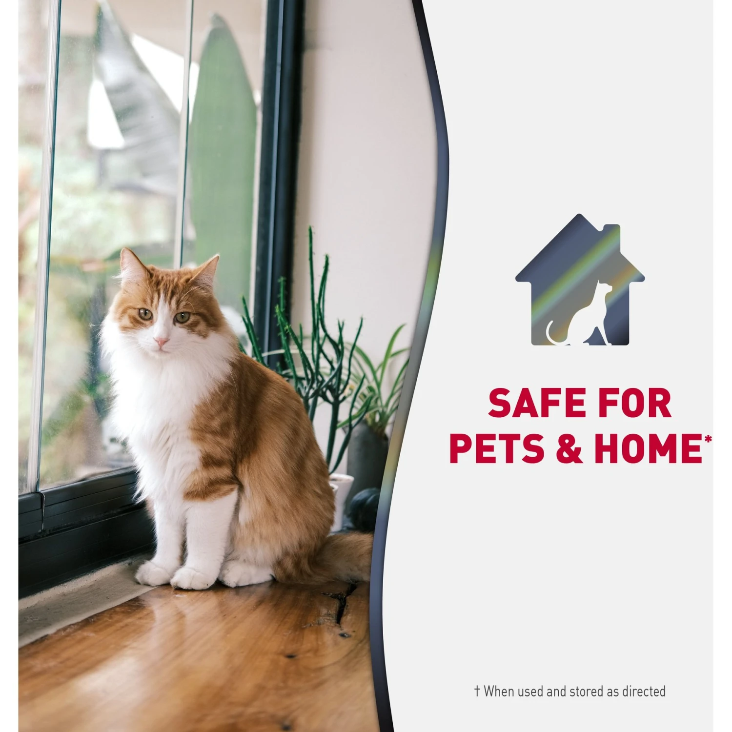 Nature's Miracle Advanced Cat Enzymatic Stain Remover & Odor Eliminator Spray, Sunny Lemon, 32-oz Bottle 9 Nature's Miracle Advanced Cat Enzymatic Stain Remover & Odor Eliminator Spray, Sunny Lemon, 32-oz Bottle - Image 7