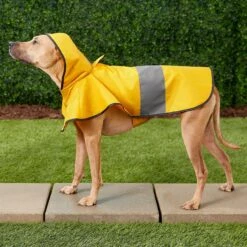 Frisco Lightweight Rainy Days Dog Raincoat -Cat Supplies 119208 PT7. AC SS1800 V1540475377