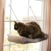 K&H Pet Products EZ Mount Window Scratcher Kitty Sill -Cat Supplies 121331 MAIN. AC SS1800 V1493213147