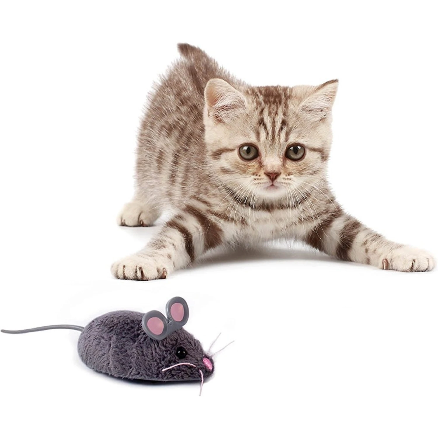 Hexbug Mouse Robotic Cat Toy, Color Varies 5 Hexbug Mouse Robotic Cat Toy, Color Varies - Image 3