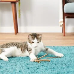 CatTwig Silver Vine Stick Cat Chew Toy -Cat Supplies 125648 PT3. AC SS1800 V1554126585