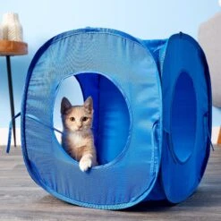HDP Pop Open Collapsible Cat Play Cube -Cat Supplies 125929 PT5. AC SS1800 V1527271641