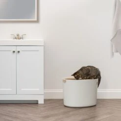 IRIS USA Round Top Entry Cat Litter Box & Scoop -Cat Supplies 130345 PT2. AC SS1800 V1680881119