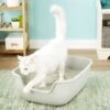 PetFusion BetterBox Non-Stick Cat Litter Box -Cat Supplies 133670 MAIN. AC SS1800 V1565284824