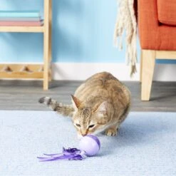 SmartyKat Twirly Top Electronic Mini Motion Ball Cat Toy, Color Varies -Cat Supplies 137508 PT5. AC SS1800 V1525718252