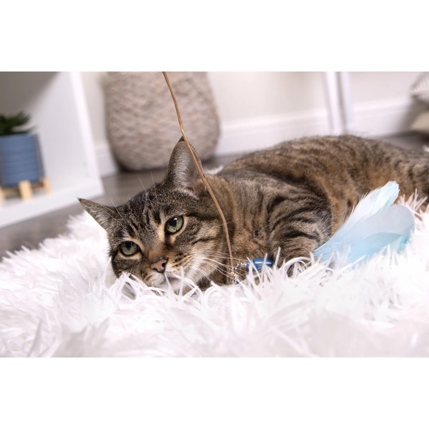 SmartyKat Frisky Flyer Feather Wand Cat Toy 11 SmartyKat Frisky Flyer Feather Wand Cat Toy - Image 9