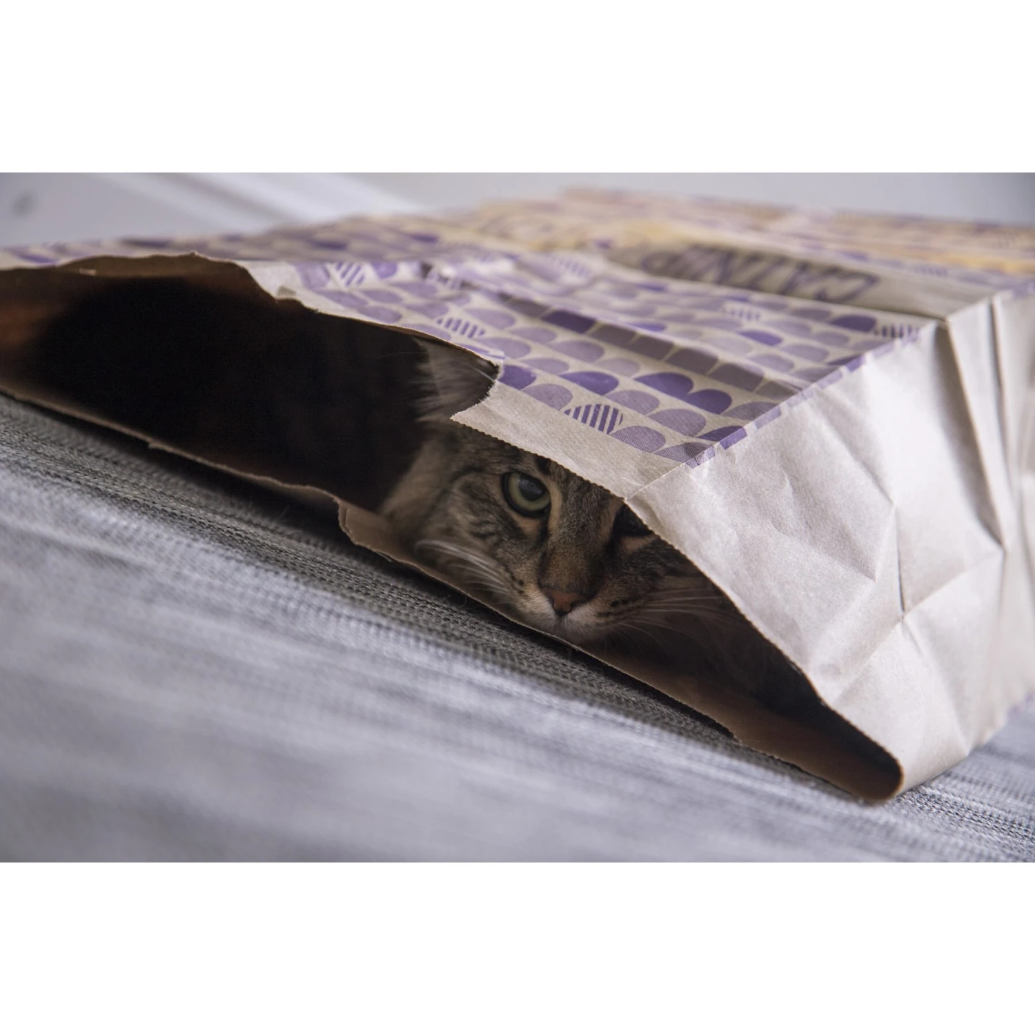 SmartyKat Cat Caves Catnip Infused Paper Bags, 2 Count 5 SmartyKat Cat Caves Catnip Infused Paper Bags, 2 Count - Image 3