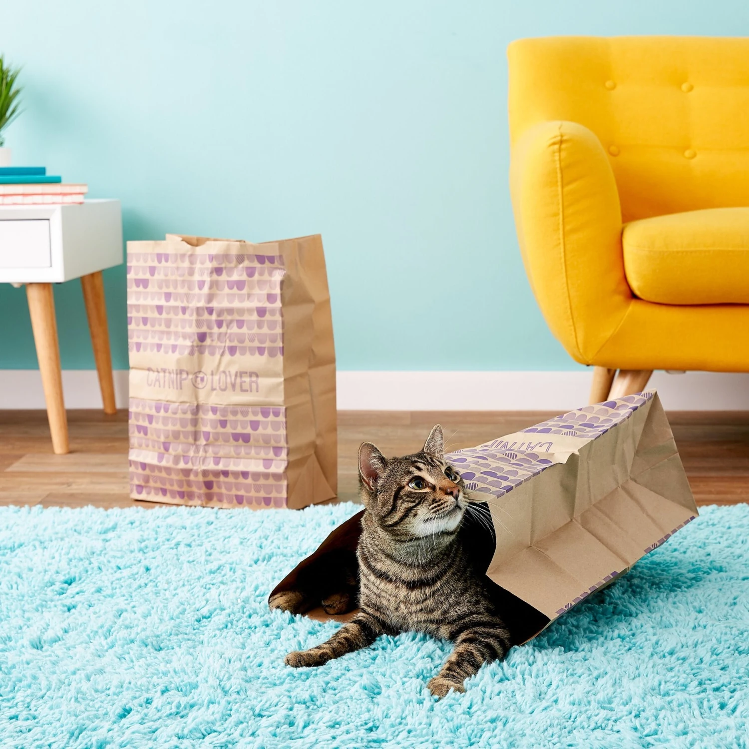 SmartyKat Cat Caves Catnip Infused Paper Bags, 2 Count 8 SmartyKat Cat Caves Catnip Infused Paper Bags, 2 Count - Image 6