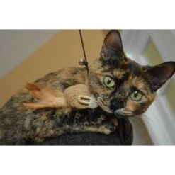 Earthtone Solutions Sisal Wand Mouse Teaser Cat Toy -Cat Supplies 138352 PT2. AC SS1800 V1506376025