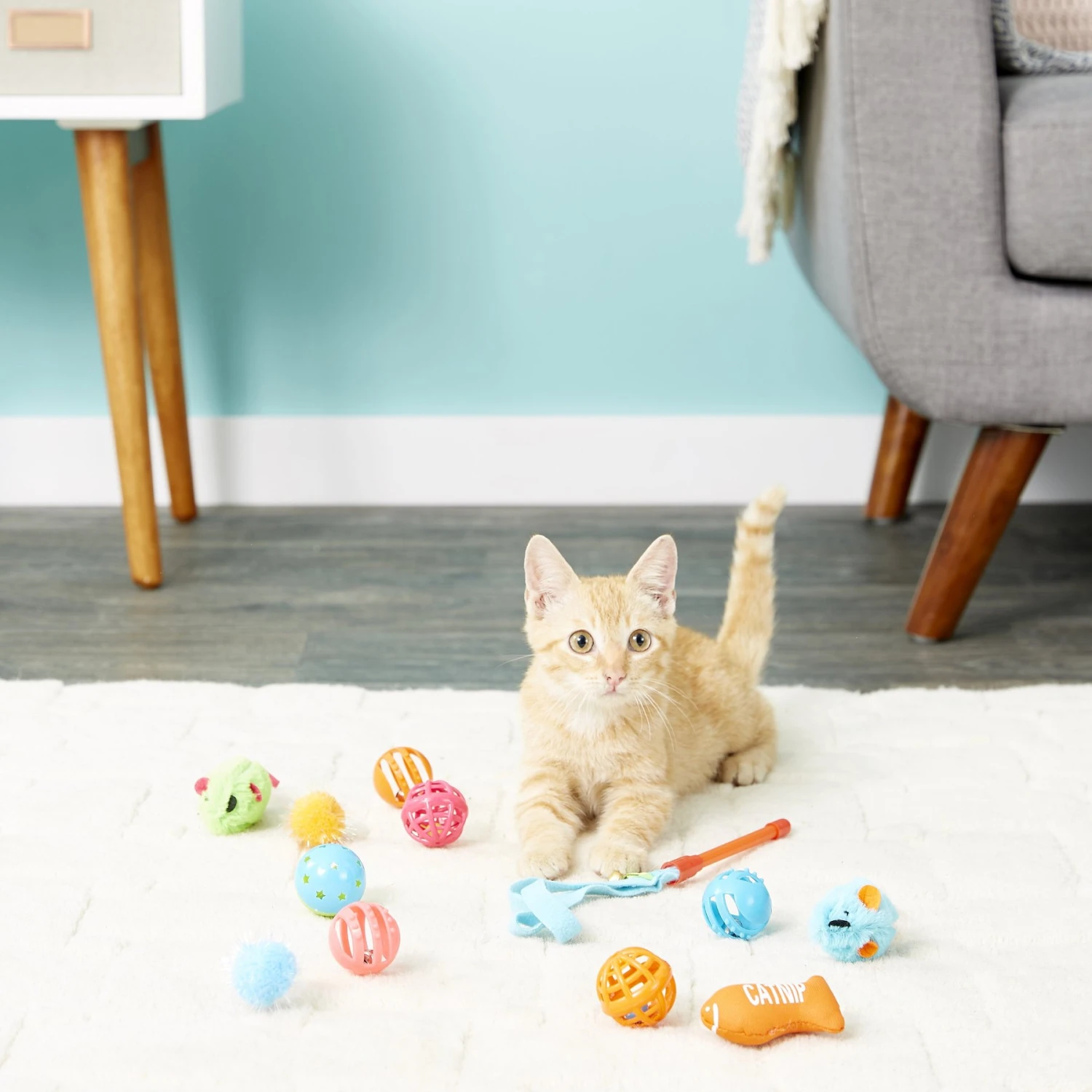 Hartz Just For Cats Toy Variety Pack, 13 Count 5 Hartz Just For Cats Toy Variety Pack, 13 Count - Image 3