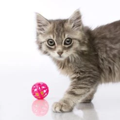 Hartz Just For Cats Toy Variety Pack, 13 Count 13 Hartz Just For Cats Toy Variety Pack, 13 Count -Cat Supplies 139111 PT3. AC SS1800 V1589230986