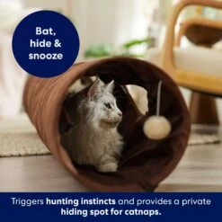 Frisco 47-in Foldable Crinkle Play Tunnel With 2 Windows 10 Frisco 47-in Foldable Crinkle Play Tunnel With 2 Windows -Cat Supplies 140168 PT3. AC SS1800 V1695241917