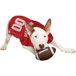 Pets First NCAA Dog & Cat Jersey, Ohio State Buckeyes -Cat Supplies 142138 PT4. AC SS1800 V1538435585