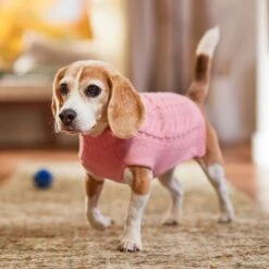 Frisco Dog & Cat Cable Knitted Sweater -Cat Supplies 144254 PT5. AC SS1800 V1541456525