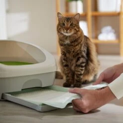 Frisco Cat Litter Pads, Unscented -Cat Supplies 149816 PT5. AC SS1800 V1675279991