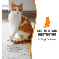 Nature's Miracle Cat Oxy Formula Set-In Stain Destroyer & Odor Remover Spray 17 Nature's Miracle Cat Oxy Formula Set-In Stain Destroyer & Odor Remover Spray -Cat Supplies 152168 PT6. AC SS1800 V1701114550