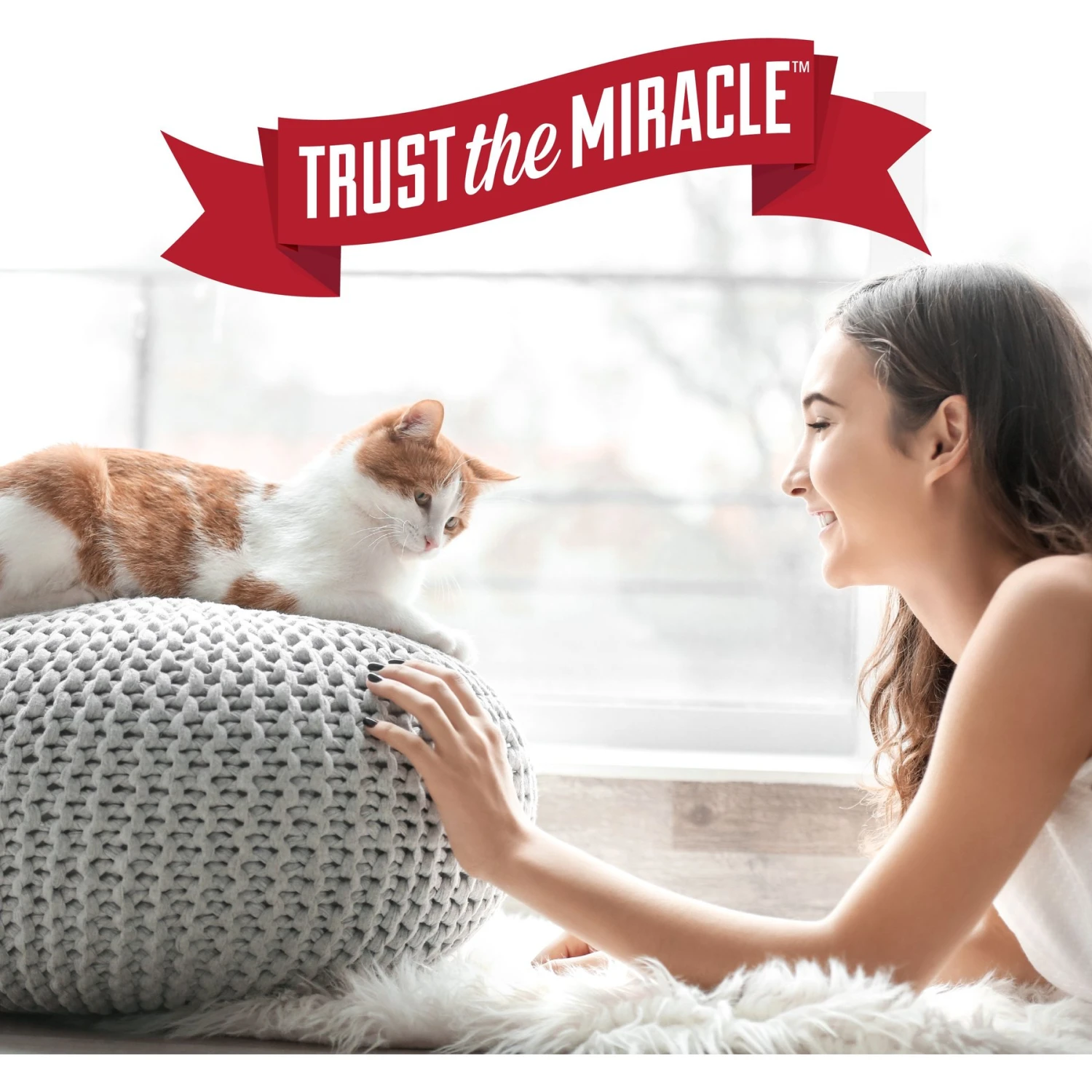 Nature's Miracle Cat Oxy Formula Set-In Stain Destroyer & Odor Remover Spray 11 Nature's Miracle Cat Oxy Formula Set-In Stain Destroyer & Odor Remover Spray - Image 9