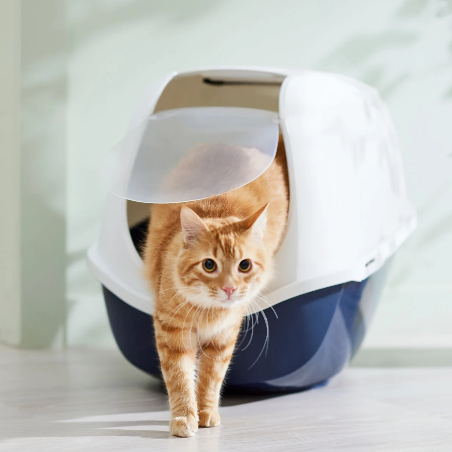 Frisco Hooded Cat Litter Box 2 Frisco Hooded Cat Litter Box