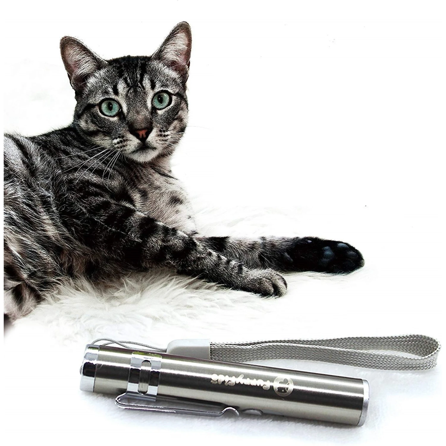 FurryFido Laser Cat Toy 8 FurryFido Laser Cat Toy - Image 6