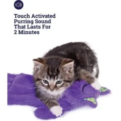 Catstages Purr Pillow Cat Plush Toy -Cat Supplies 154645 PT3. AC SS1800 V1631689351