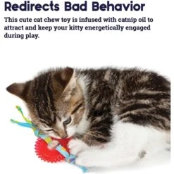 Catstages Dental Kitty Chew Wheel Cat Chew Toy 11 Catstages Dental Kitty Chew Wheel Cat Chew Toy -Cat Supplies 154647 PT3. AC SS1800 V1631686642