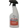 Wee Away X2 Ultra Concentrated Odor & Stain Remover For Cats & Kittens -Cat Supplies 155671 MAIN. AC SS1800 V1543354771