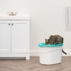 IRIS USA Large Round Top Entry Cat Litter Box & Scoop -Cat Supplies 156874 PT2. AC SS1800 V1680811968