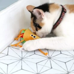 Mad Cat Tabby Taco Catnip & Silvervine Cat Toy 9 Mad Cat Tabby Taco Catnip & Silvervine Cat Toy -Cat Supplies 157302 PT4. AC SS1800 V1637611067