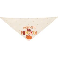 Frisco Mommy's Lil Pumpkin Dog & Cat Bandana -Cat Supplies 158936 PT3. AC SS1800 V1689628812