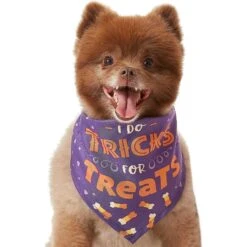Frisco I Do Tricks For Treats Dog & Cat Bandana -Cat Supplies 158938 PT3. AC SS1800 V1633075903